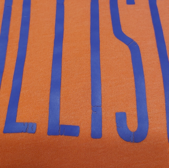Hollister Sweatshirt Hoodie, Orange with Blue Letters, Size Large - Picture 5 of 10